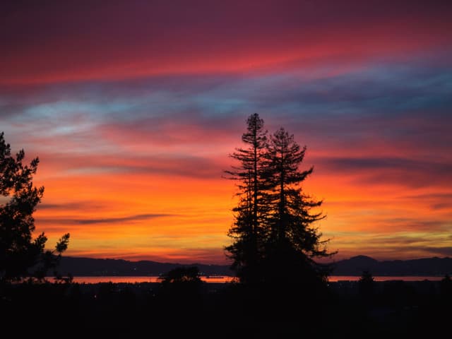 Silhouetted evergreen trees against a vivid orange and purple sunset over distant hills