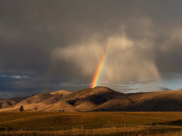 A vivid rainbow arcs from rain clouds over sunlit rolling hills and open grassland