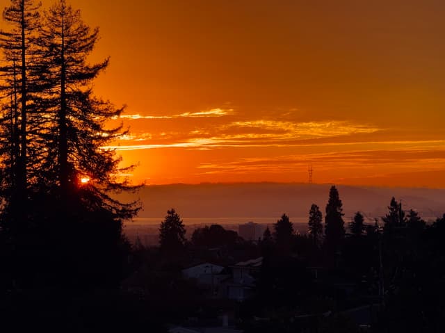 Fiery orange sunset glowing through tall silhouetted trees above a distant valley and low clouds