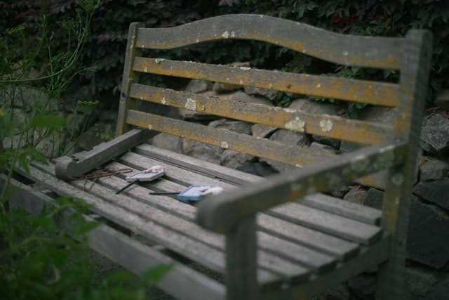 A weathered wooden bench with peeling paint, set in a garden with greenery and a stone wall in the background. A book and a pair of glasses rest on the seat