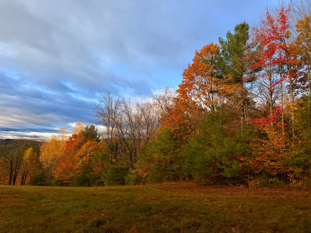 Autumn trees in vibrant reds, oranges, and yellows border a grassy field beneath a partly cloudy blue sky