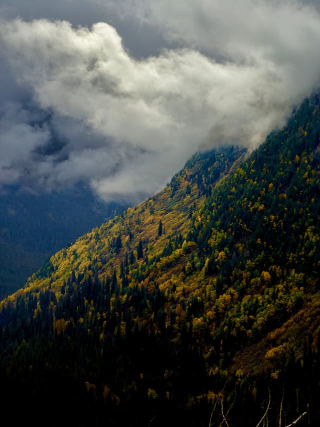 Sunlit, forested mountain slope with low clouds rolling over a shadowed valley