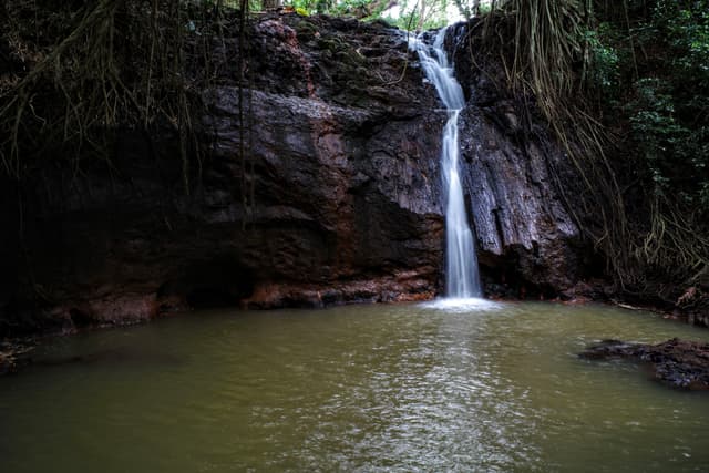 A small waterfall cascading down a rocky cliff into a calm pool, surrounded by lush greenery