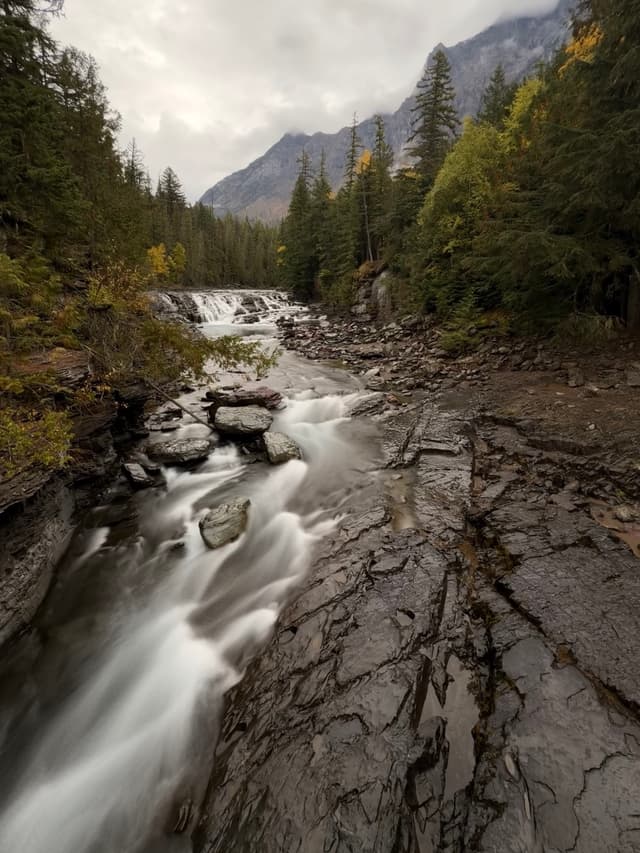 Long‑exposure mountain stream cascading over layered rocks through a pine forest, with a small waterfall and misty peaks under an overcast sky