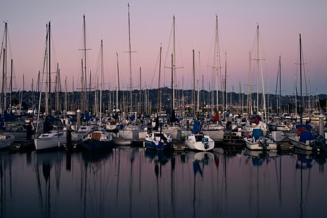 A marina filled with numerous sailboats, their masts reflecting in the calm water, set against a backdrop of a dusky sky and distant hills