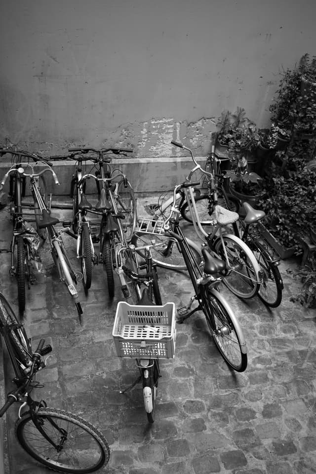 Several bicycles are parked on a cobblestone surface near a wall, with some greenery on the side. The image is in black and white