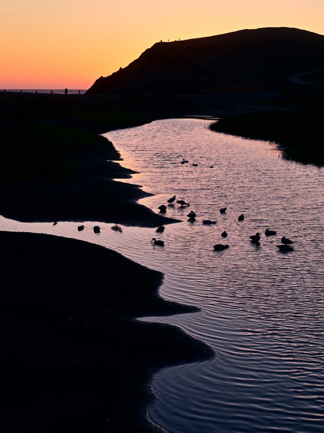 A serene river at sunset with ducks swimming, silhouetted against a colorful sky and a hill in the background