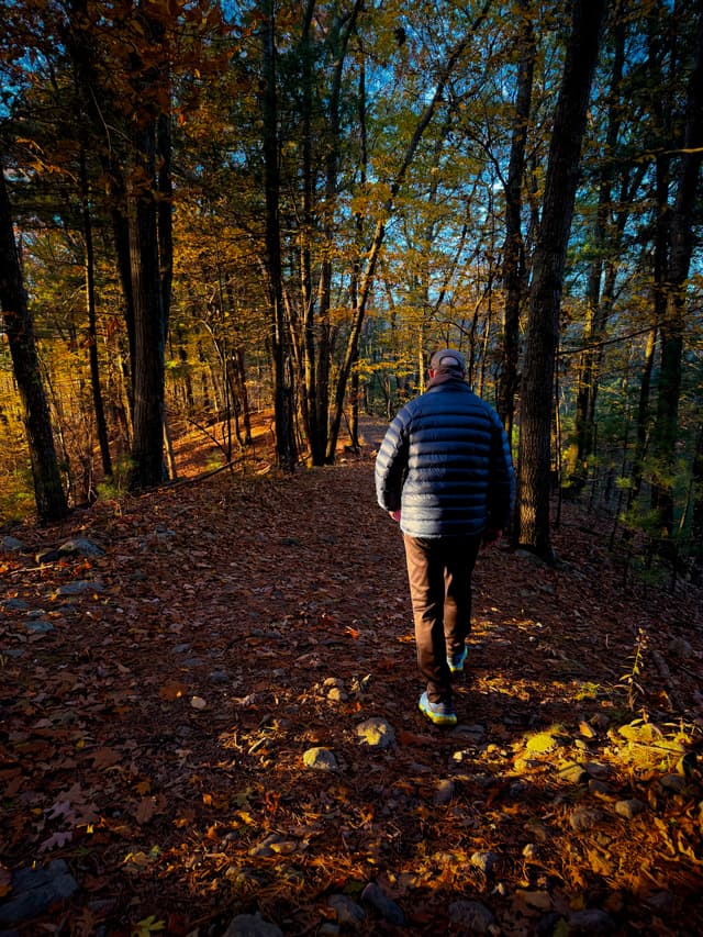 Person walking away on a leaf-covered forest trail in warm evening light
