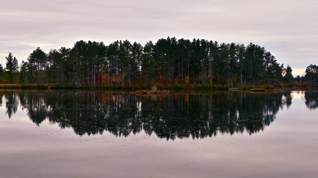 Still lake reflecting a tree-lined shoreline with autumn colors beneath an overcast sky