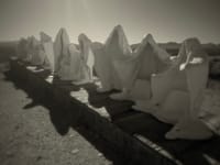 Row of pointed grave markers casting long shadows in a sepia-toned cemetery scene
