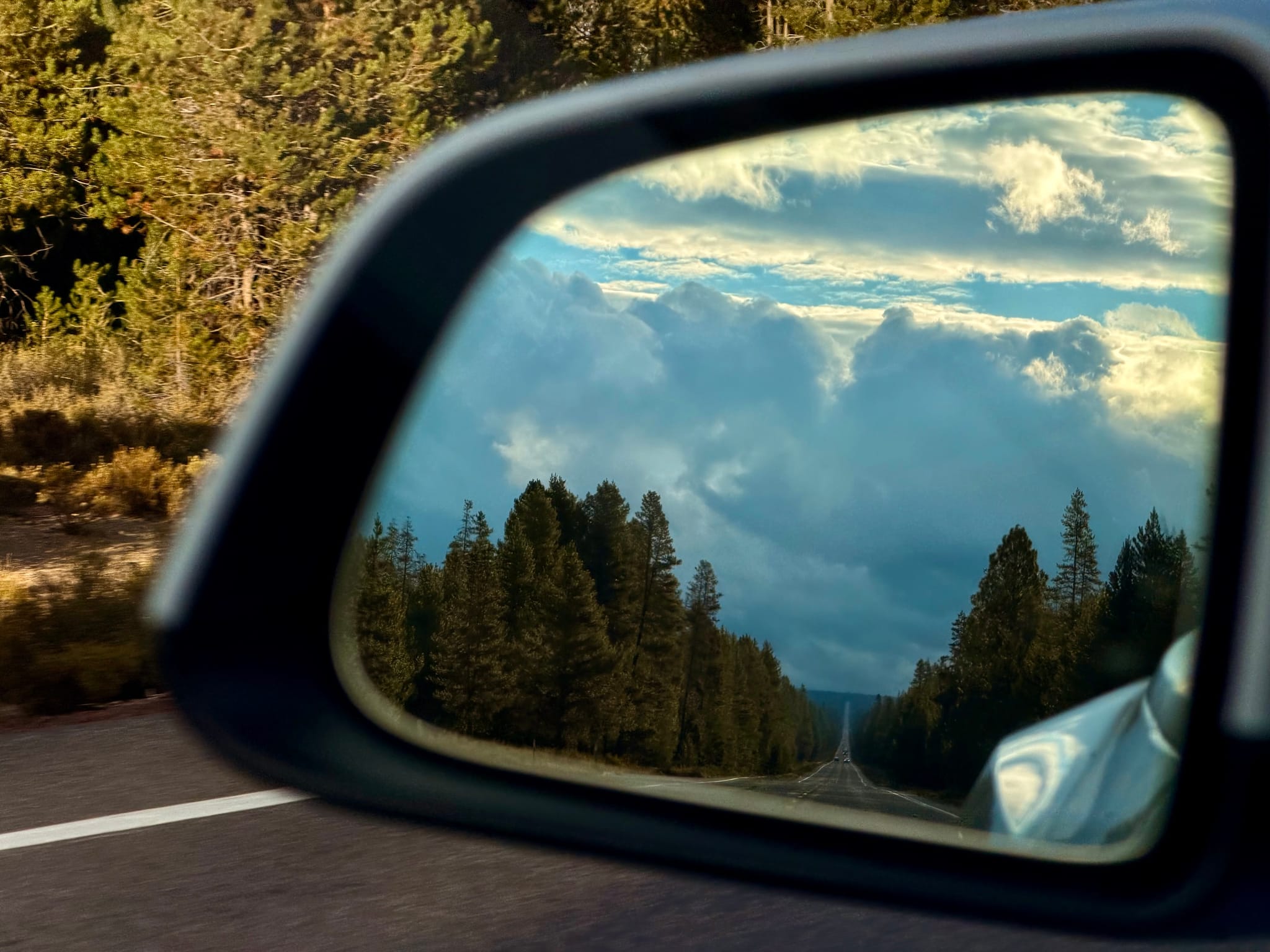 A car’s side mirror reflects a long tree-lined road under dramatic clouds, with the highway edge and forest visible outside the mirror
