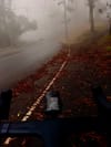 Fog obscures a narrow road lined with trees fading into mist, with wet autumn leaves along the roadside and bike handlebars visible in the foreground