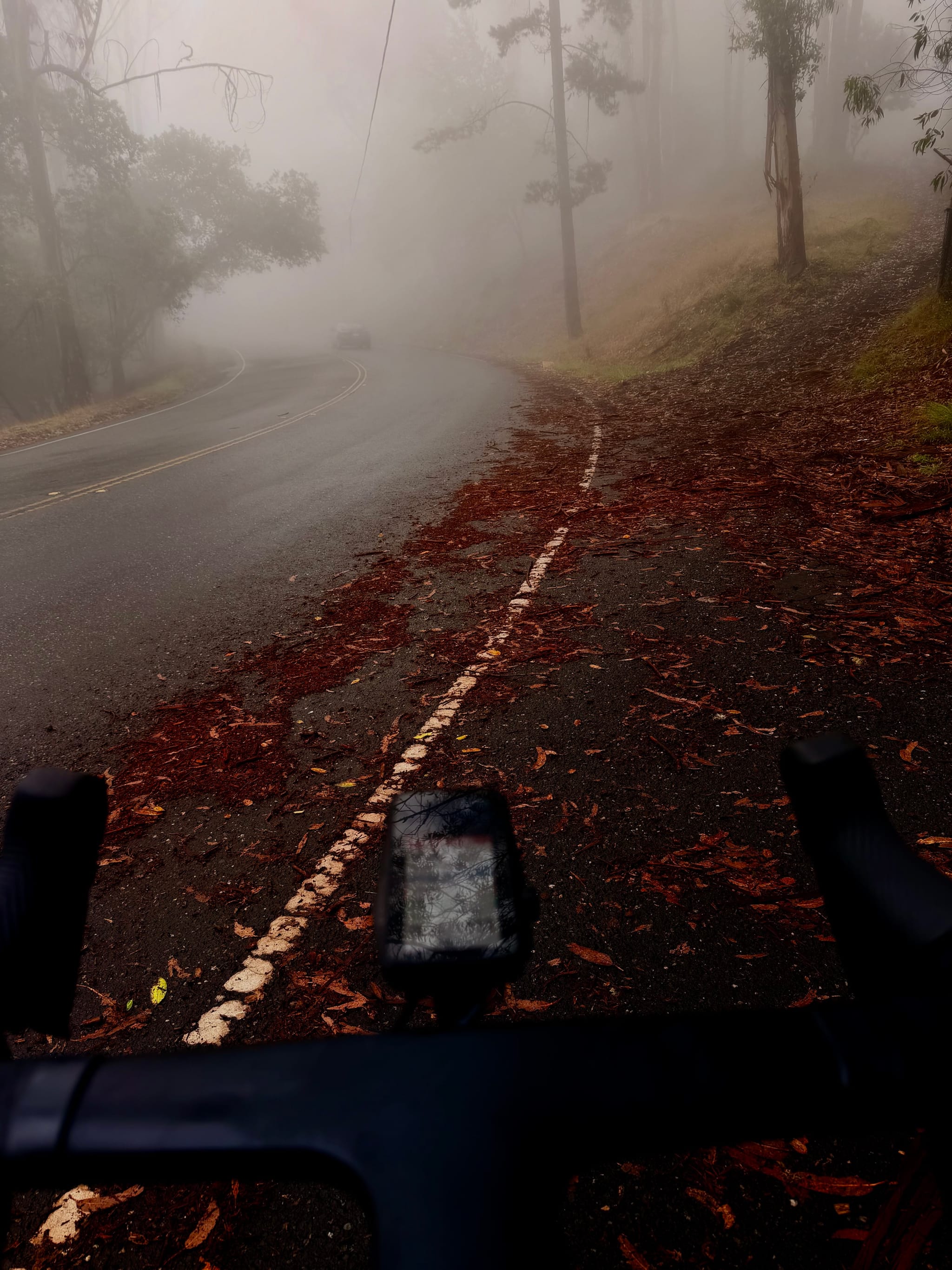 Fog obscures a narrow road lined with trees fading into mist, with wet autumn leaves along the roadside and bike handlebars visible in the foreground