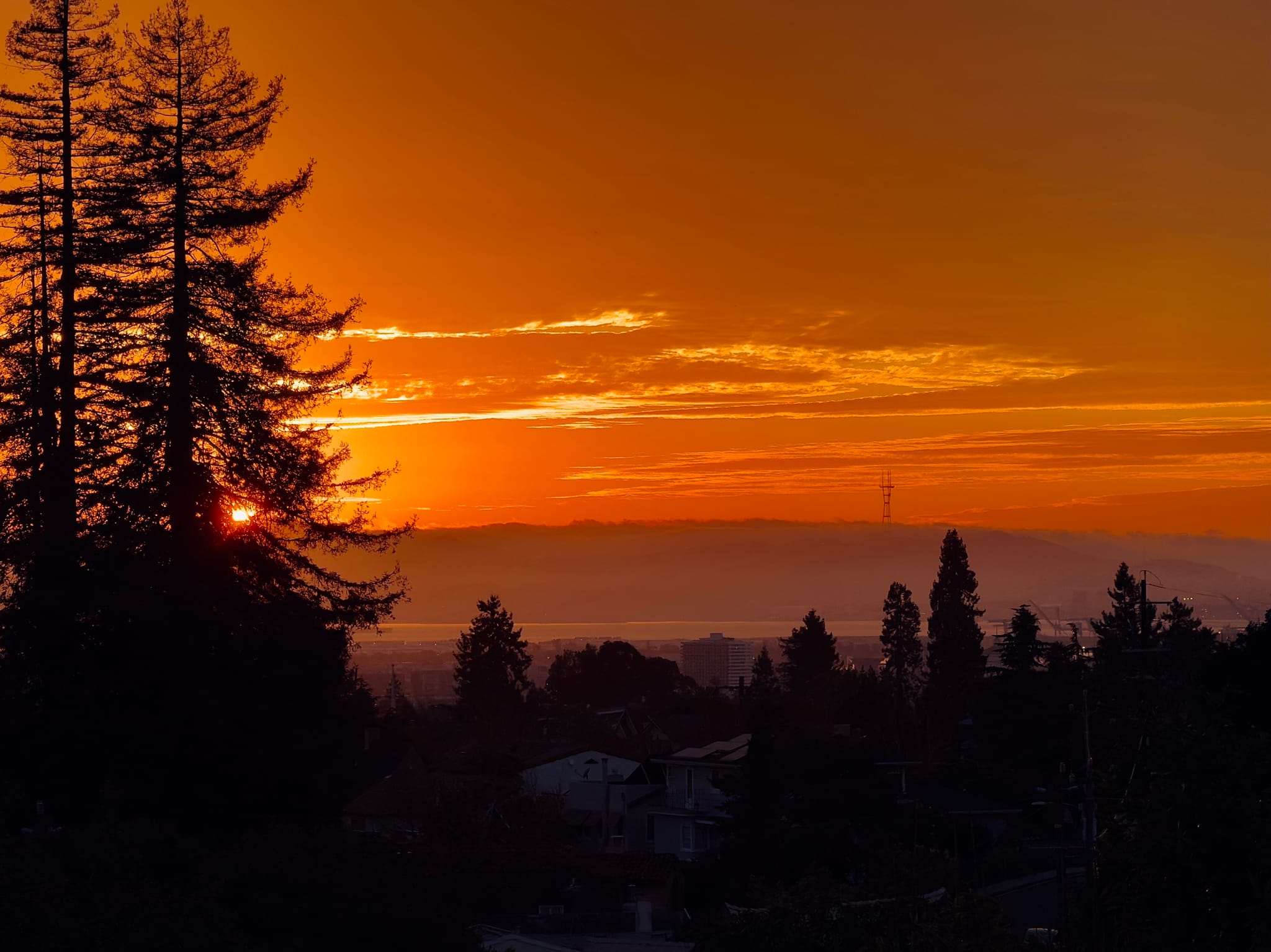 Fiery orange sunset glowing through tall silhouetted trees above a distant valley and low clouds