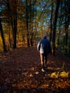 Person walking away on a leaf-covered forest trail in warm evening light