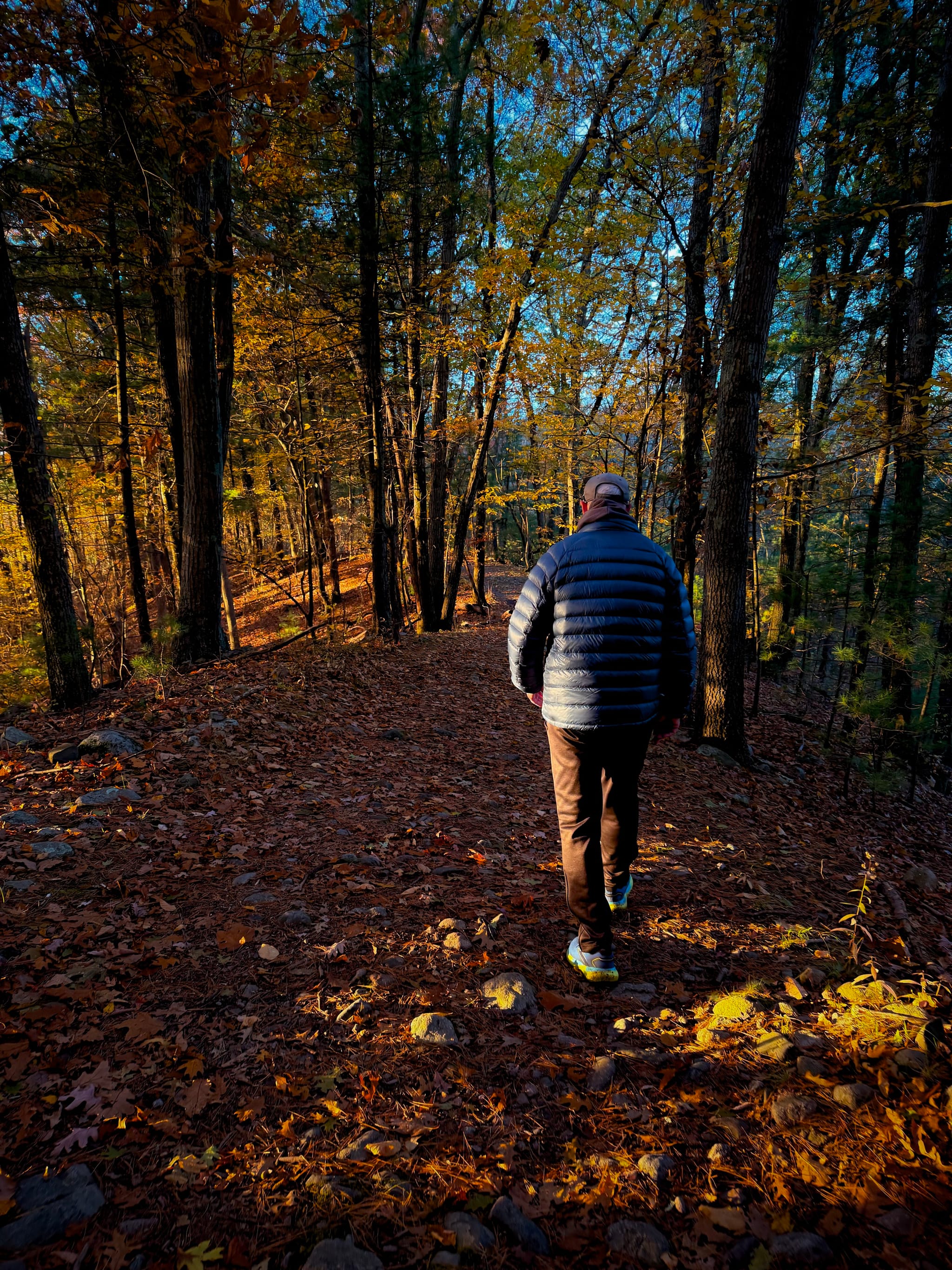 Person walking away on a leaf-covered forest trail in warm evening light