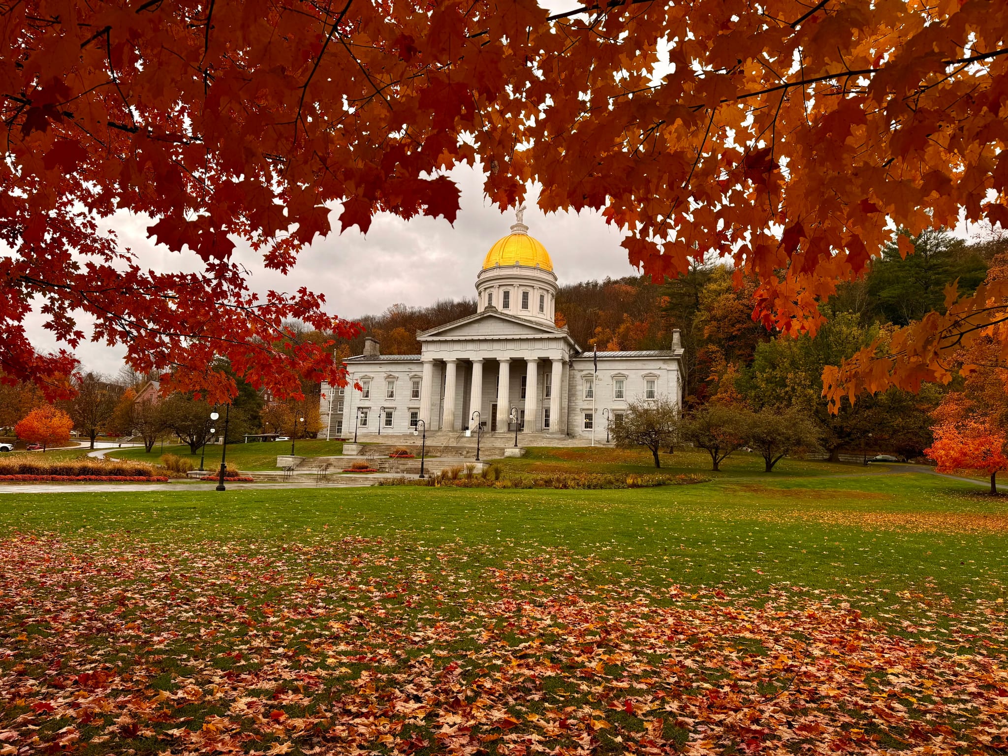 Neoclassical capitol with a gold dome framed by vivid red-orange autumn leaves, a carpet of fallen foliage across the green lawn under a cloudy sky