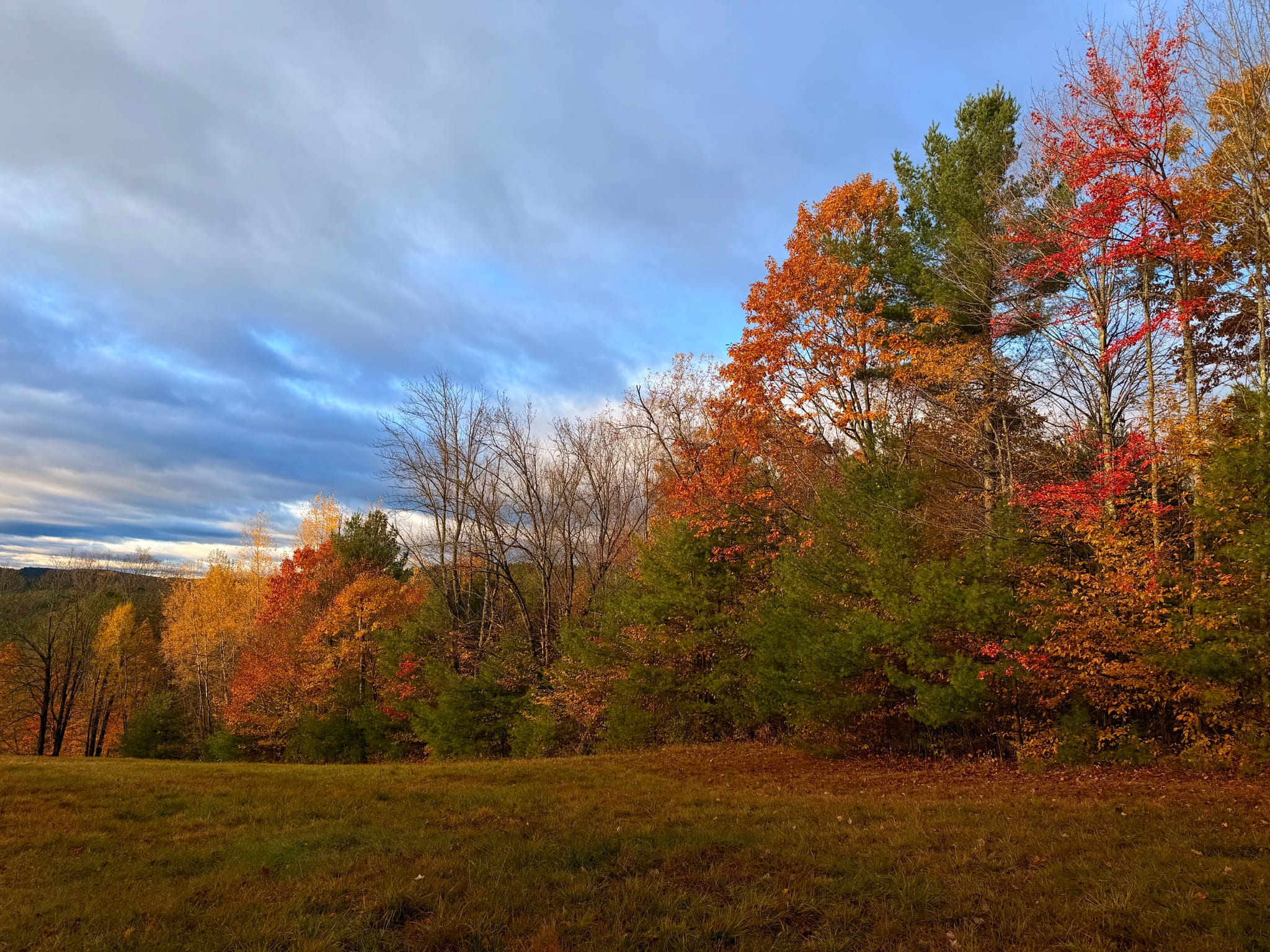 Autumn trees in vibrant reds, oranges, and yellows border a grassy field beneath a partly cloudy blue sky