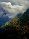 Sunlit, forested mountain slope with low clouds rolling over a shadowed valley