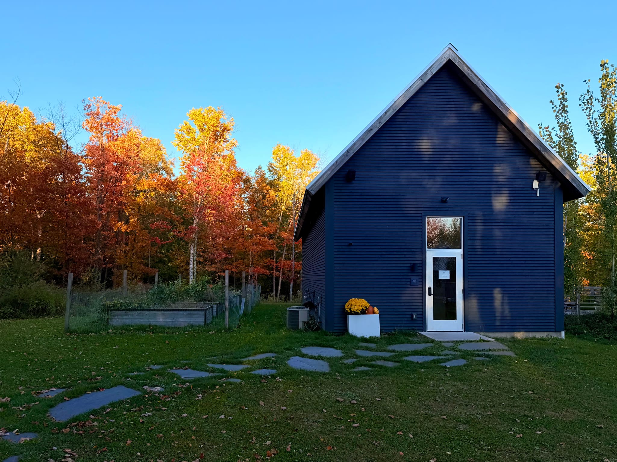 Small dark-blue cabin with a white door and yellow potted flowers, set in a grassy yard with stepping stones, backed by vibrant autumn trees under a clear blue sky