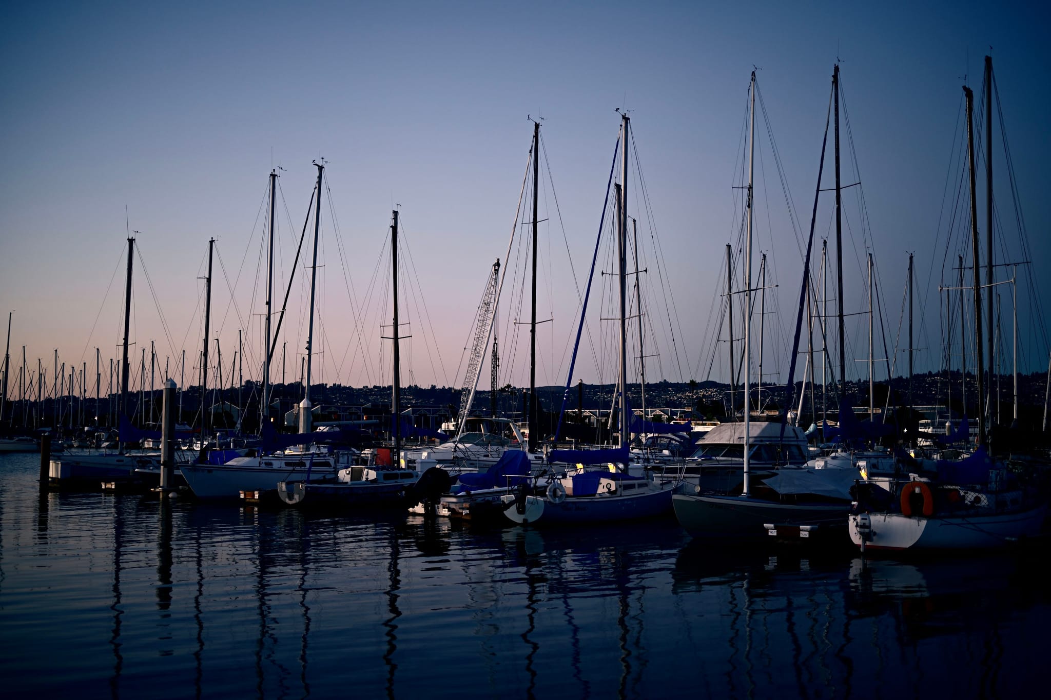 A marina at dusk with numerous sailboats docked, their masts silhouetted against the evening sky