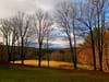 Late-autumn landscape with leafless trees, a sunlit golden field, and distant hills under a partly cloudy sky