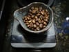 Close-up of roasted coffee beans in a small ceramic bowl on a digital kitchen scale