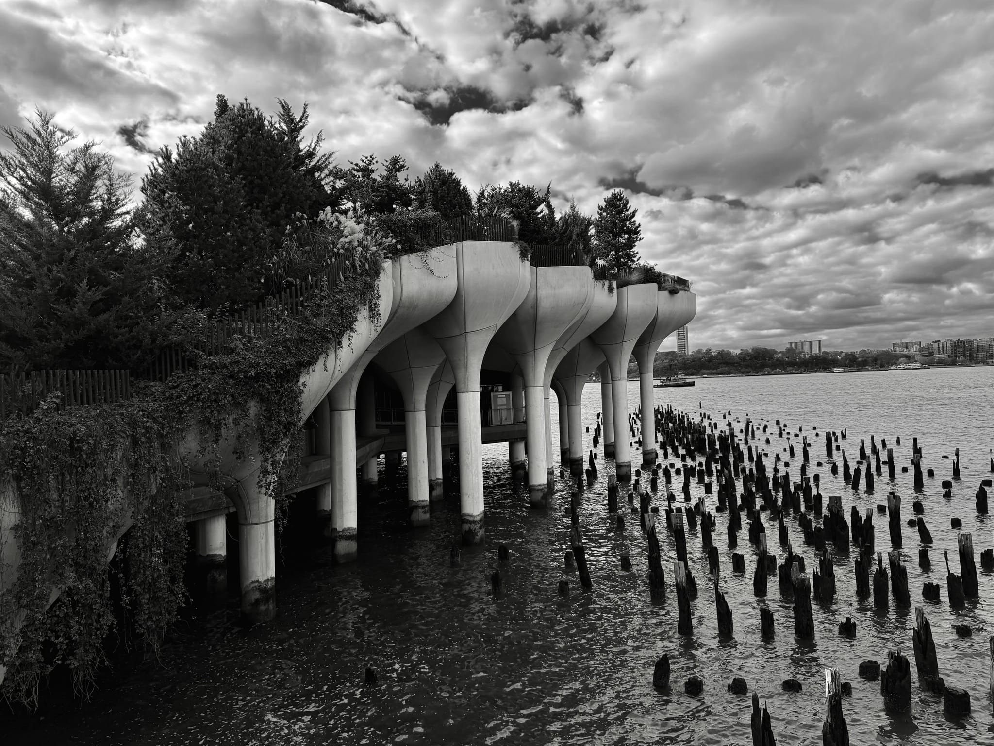 Black-and-white view of Little Island on the Hudson River, its tulip-shaped concrete columns standing above the water amid old wooden pilings under a dramatic cloudy sky