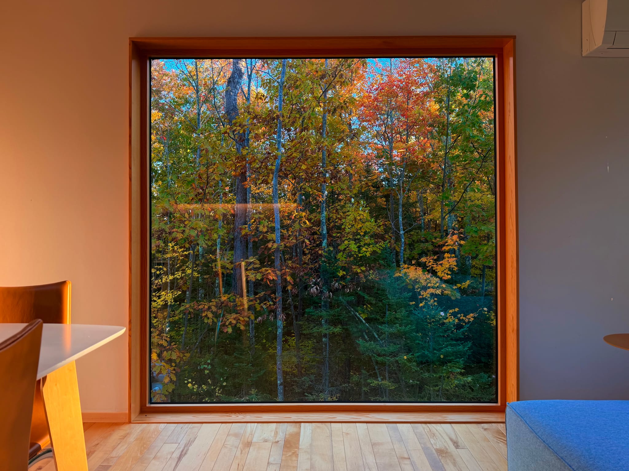 A large square window in a minimalist room frames colorful autumn forest foliage, with warm wood accents, a desk and chair on the left, and a blue seat on the right