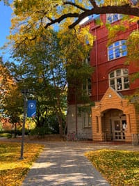 Red-brick building with an arched doorway, autumn foliage, and a paved walkway along a leaf-strewn path