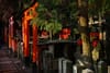 A pathway lined with vibrant red torii gates and stone lanterns, surrounded by trees and dappled sunlight