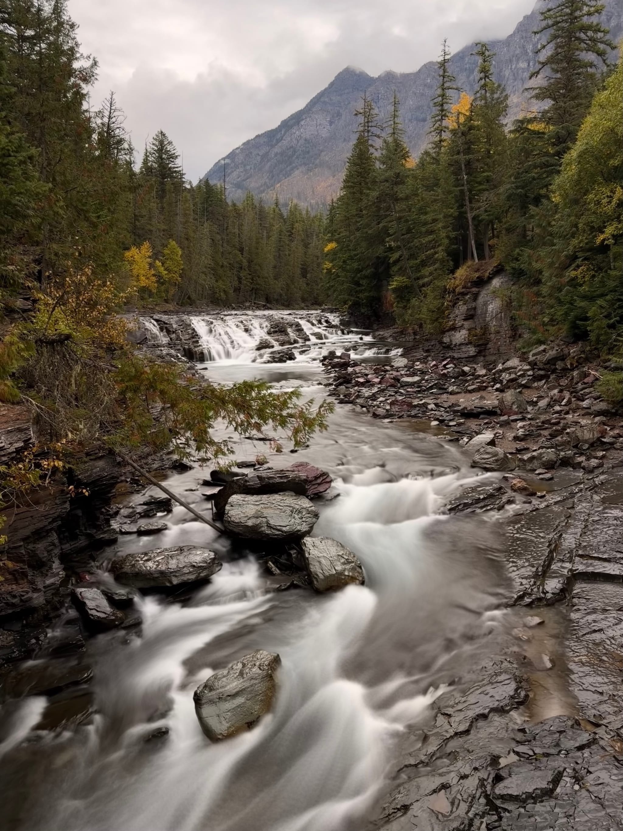 A mountain stream cascades over rocks into a small waterfall, bordered by dense pine forest with hints of autumn color beneath an overcast sky and distant peaks