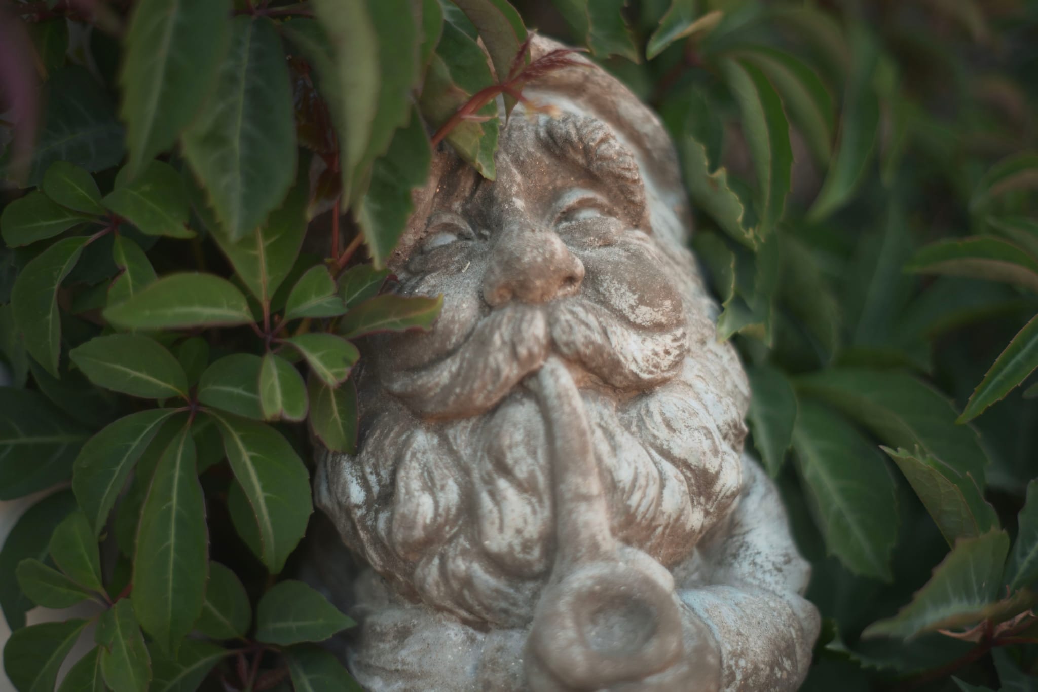 A stone garden gnome with a finger to its lips, surrounded by green leaves
