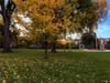 Autumn park scene with maple leaves on a grassy lawn and a red-brick building in the background under a blue sky
