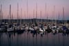 A marina filled with numerous sailboats, their masts reflecting in the calm water, set against a backdrop of a dusky sky and distant hills
