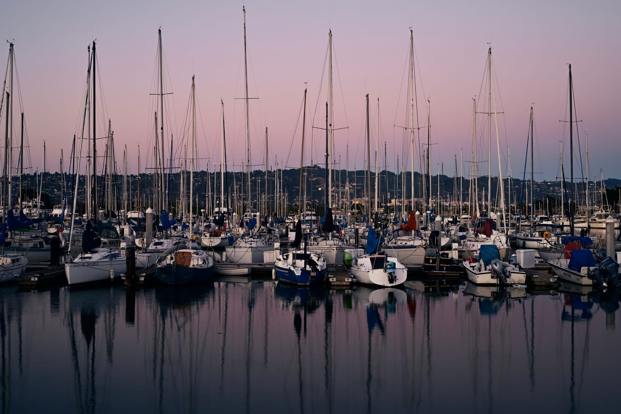 A marina filled with numerous sailboats, their masts reflecting in the calm water, set against a backdrop of a dusky sky and distant hills