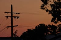 A silhouette of a utility pole and trees against a sunset sky with shades of orange and pink