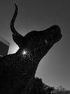 Silhouette of a perforated bull sculpture with a bright light glint near the neck, viewed from below against the sky