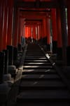 A pathway lined with numerous red torii gates, creating a tunnel-like effect, with steps leading upward and sunlight filtering through