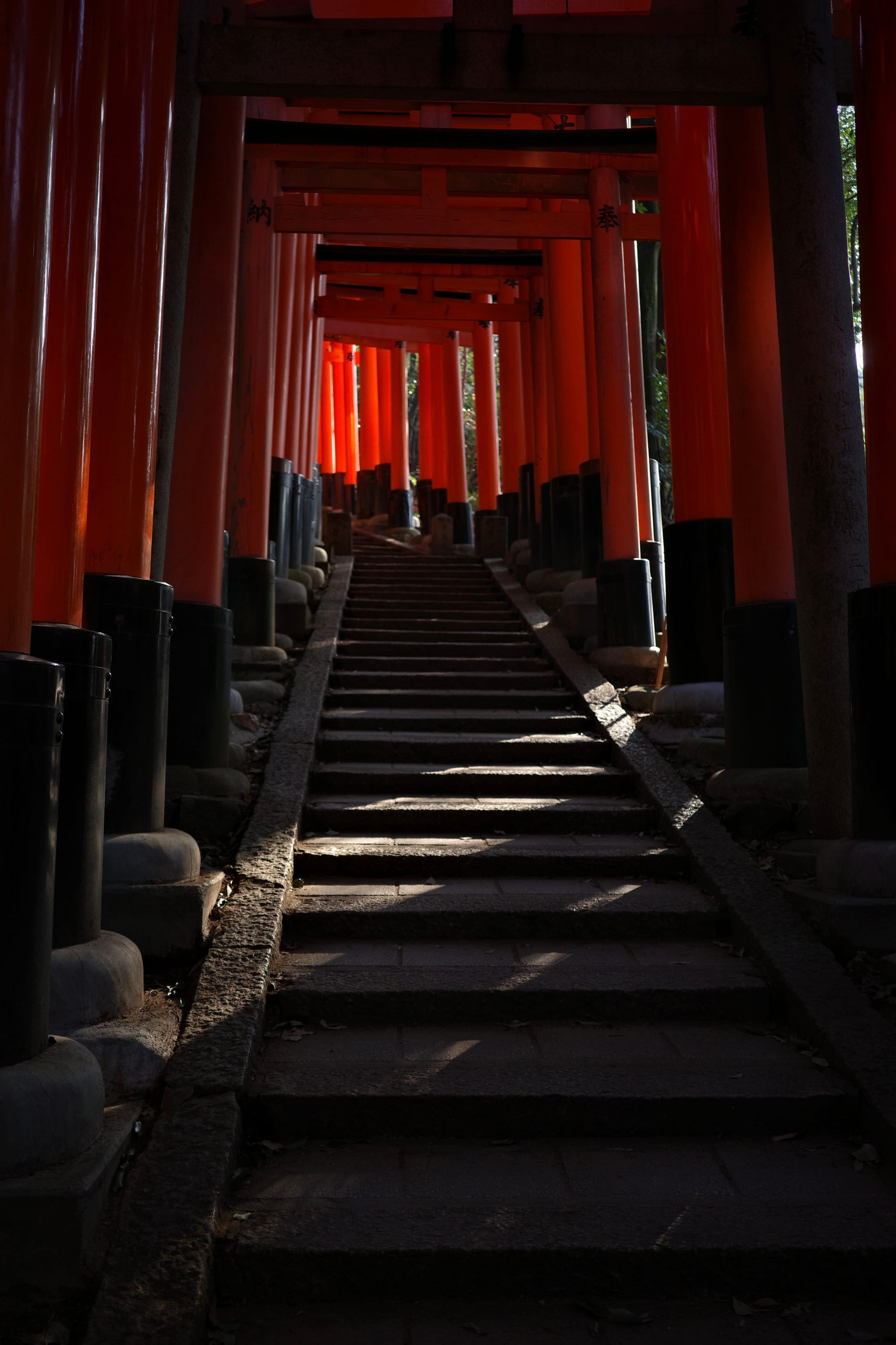 A pathway lined with numerous red torii gates, creating a tunnel-like effect, with steps leading upward and sunlight filtering through