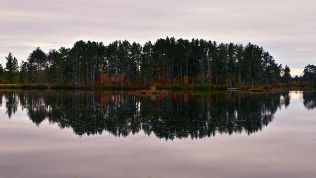 Still lake reflecting a tree-lined shoreline with autumn colors beneath an overcast sky