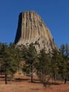 Devils Tower’s massive columnar monolith rising above pine trees under a clear blue sky