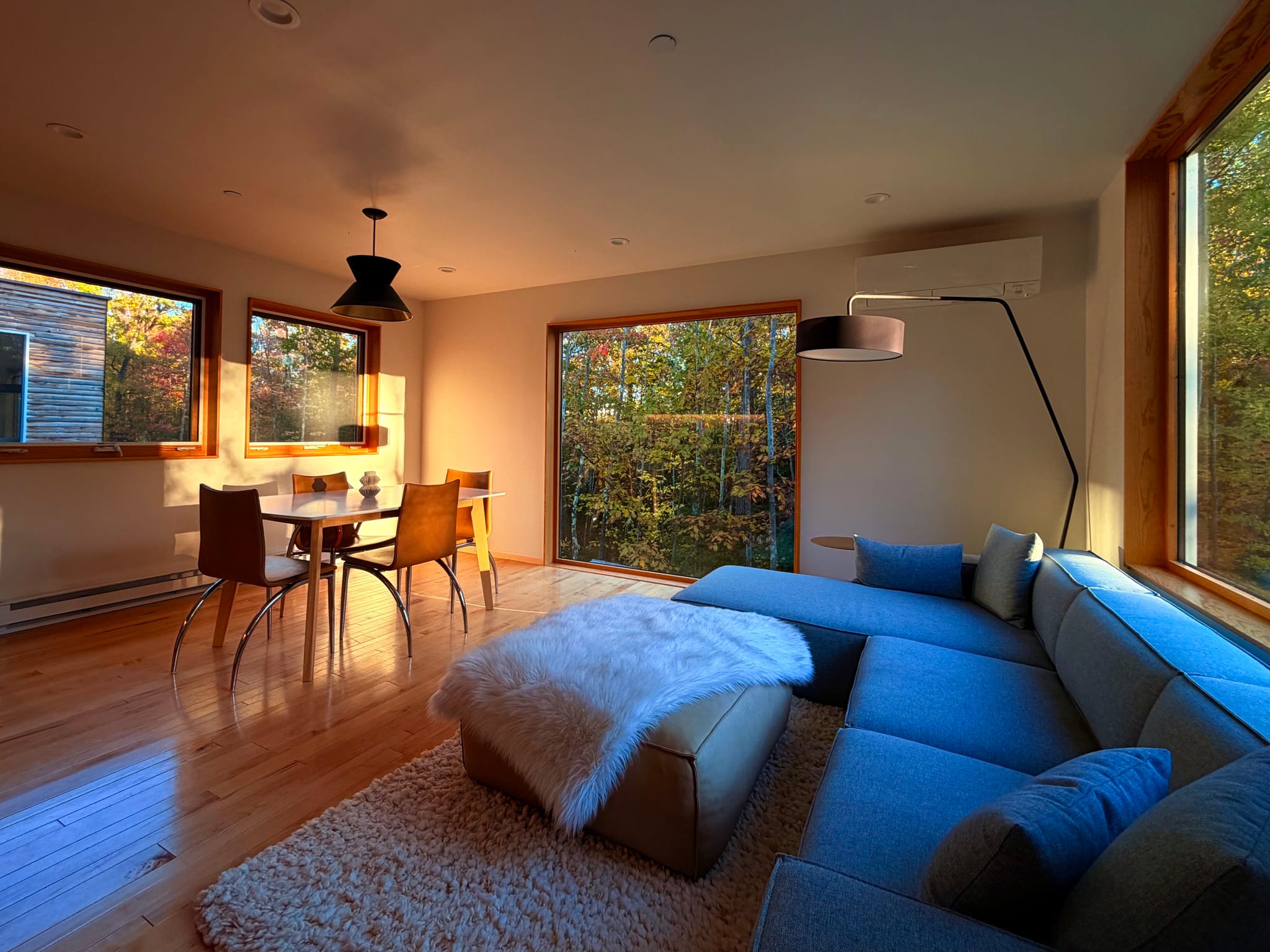 Cozy modern living-dining room with a blue sectional sofa, shag rug, and arc floor lamp on hardwood floors. Large windows and sliding doors let in warm sunset light over a wooden dining table and leafy views outside