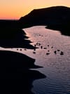 A serene river at sunset with ducks swimming, silhouetted against a colorful sky and a hill in the background