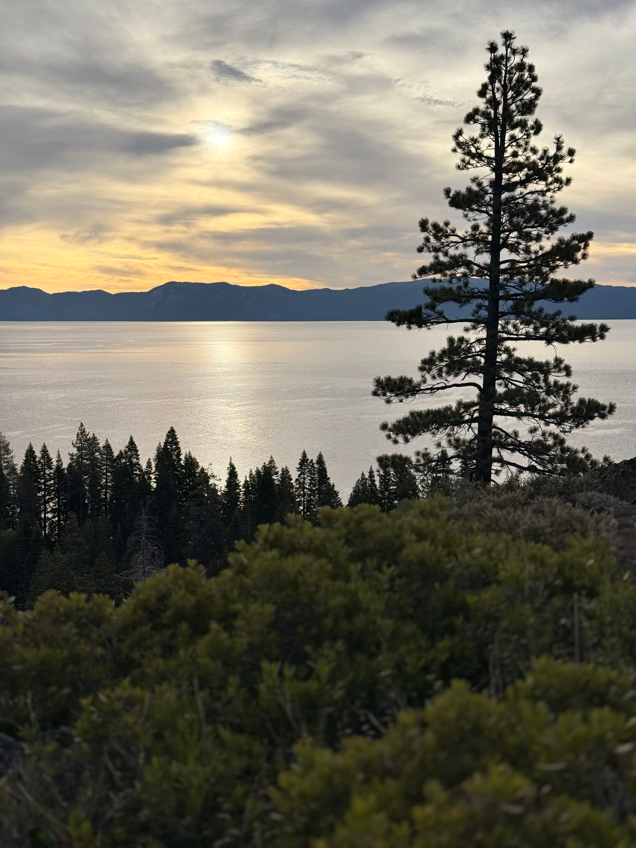 A serene landscape featuring a large tree in the foreground, a calm body of water reflecting the sky, and distant mountains under a cloudy sky