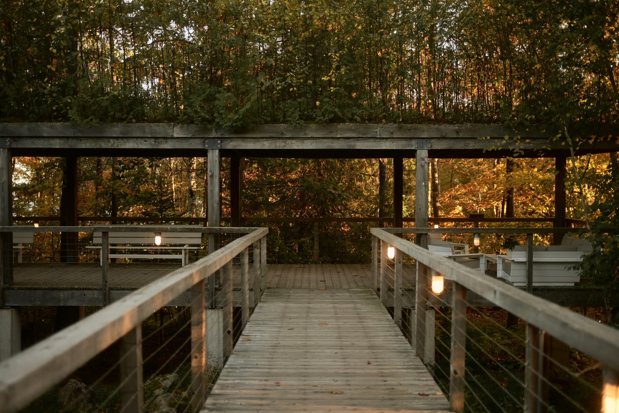 A wooden boardwalk with rail lights leads to an open pavilion surrounded by trees at sunset