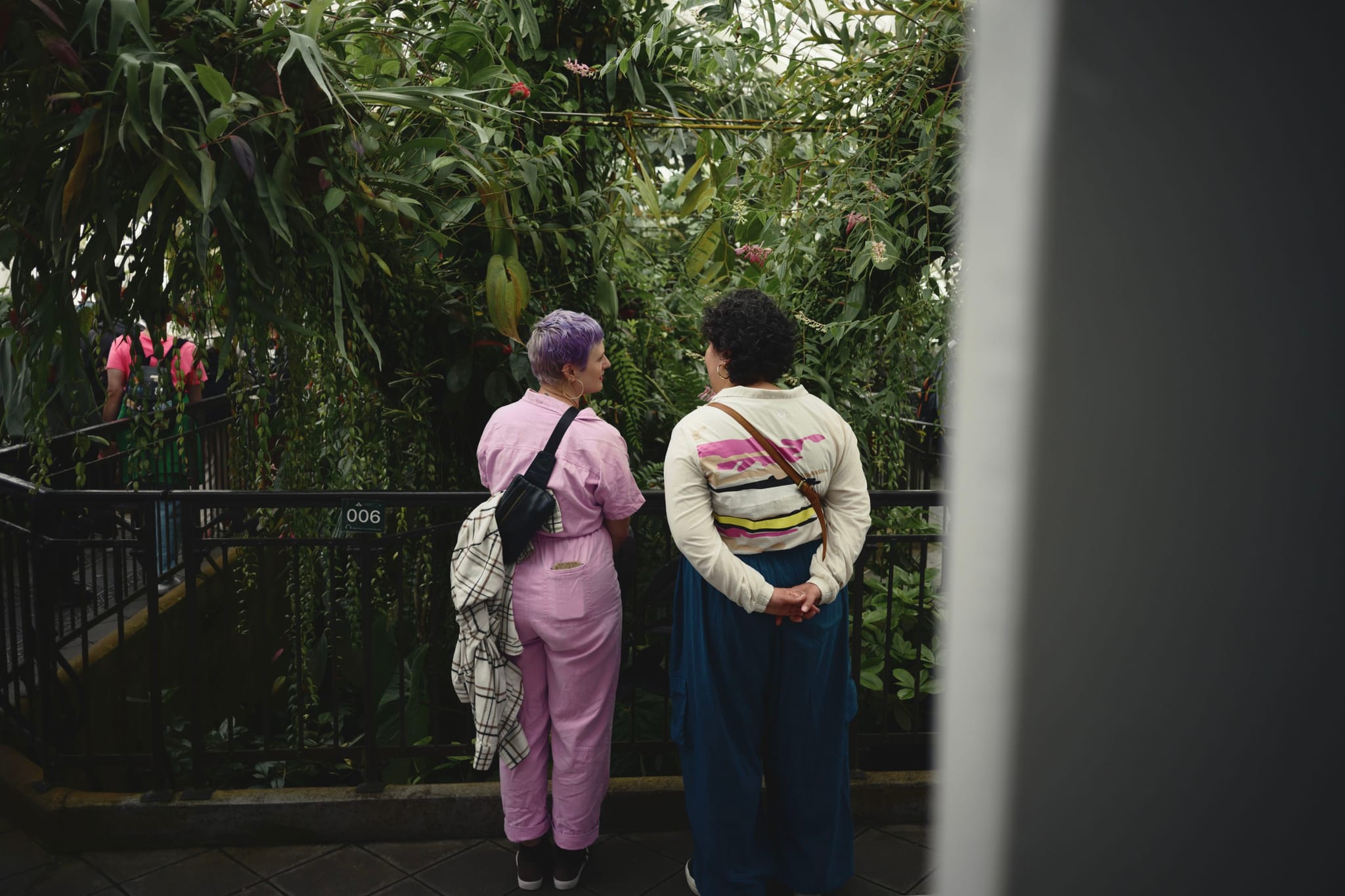 Two people standing on a balcony, surrounded by lush greenery, engaged in conversation