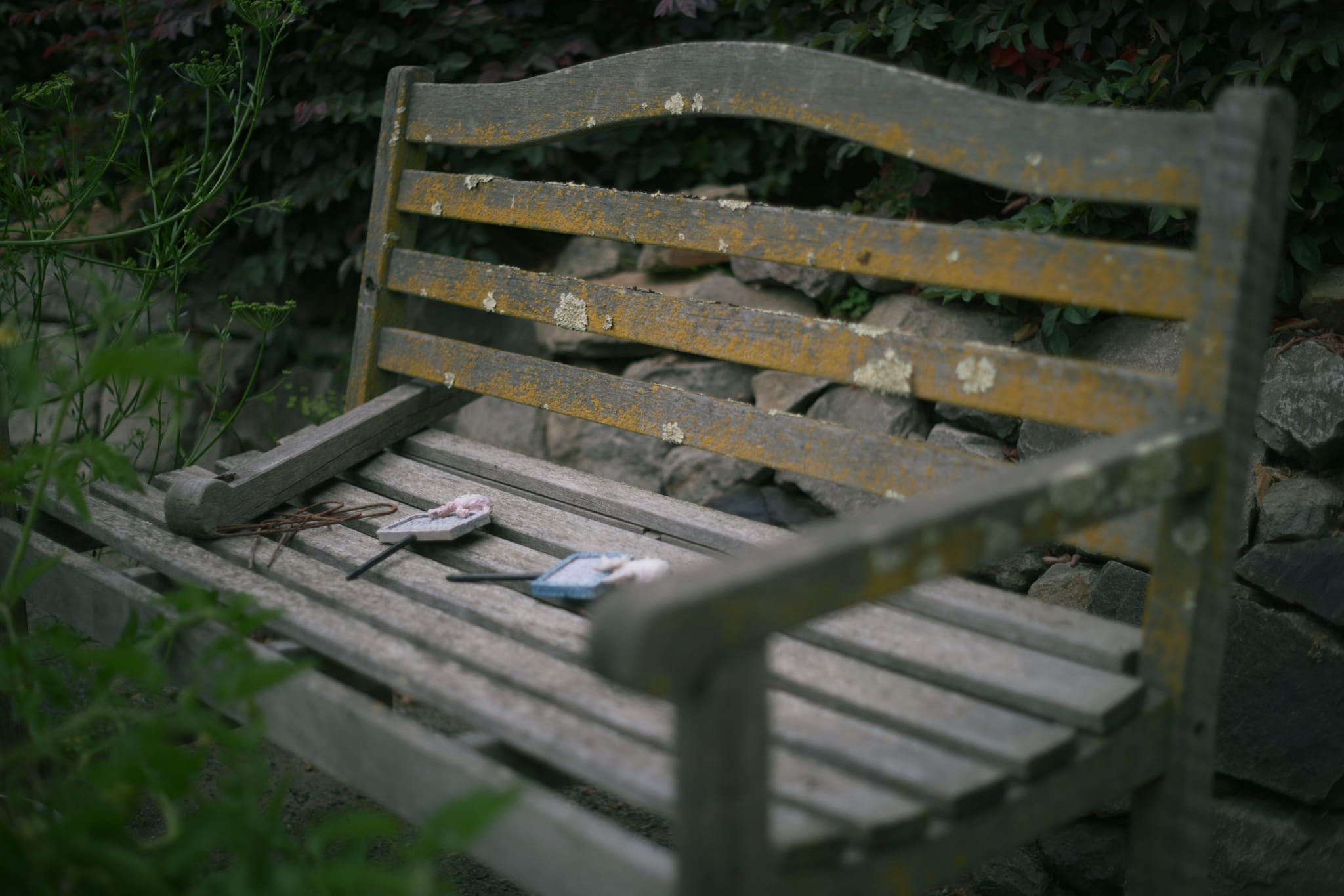 A weathered wooden bench with peeling paint, set in a garden with greenery and a stone wall in the background. A book and a pair of glasses rest on the seat