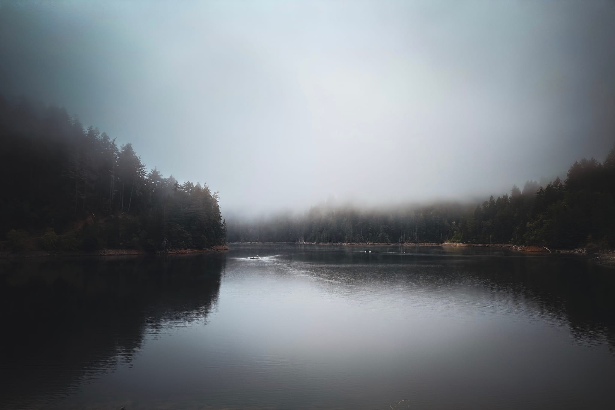 A tranquil lake bordered by dense, misty forests under an overcast sky, creating a serene and mysterious atmosphere with reflections on the water