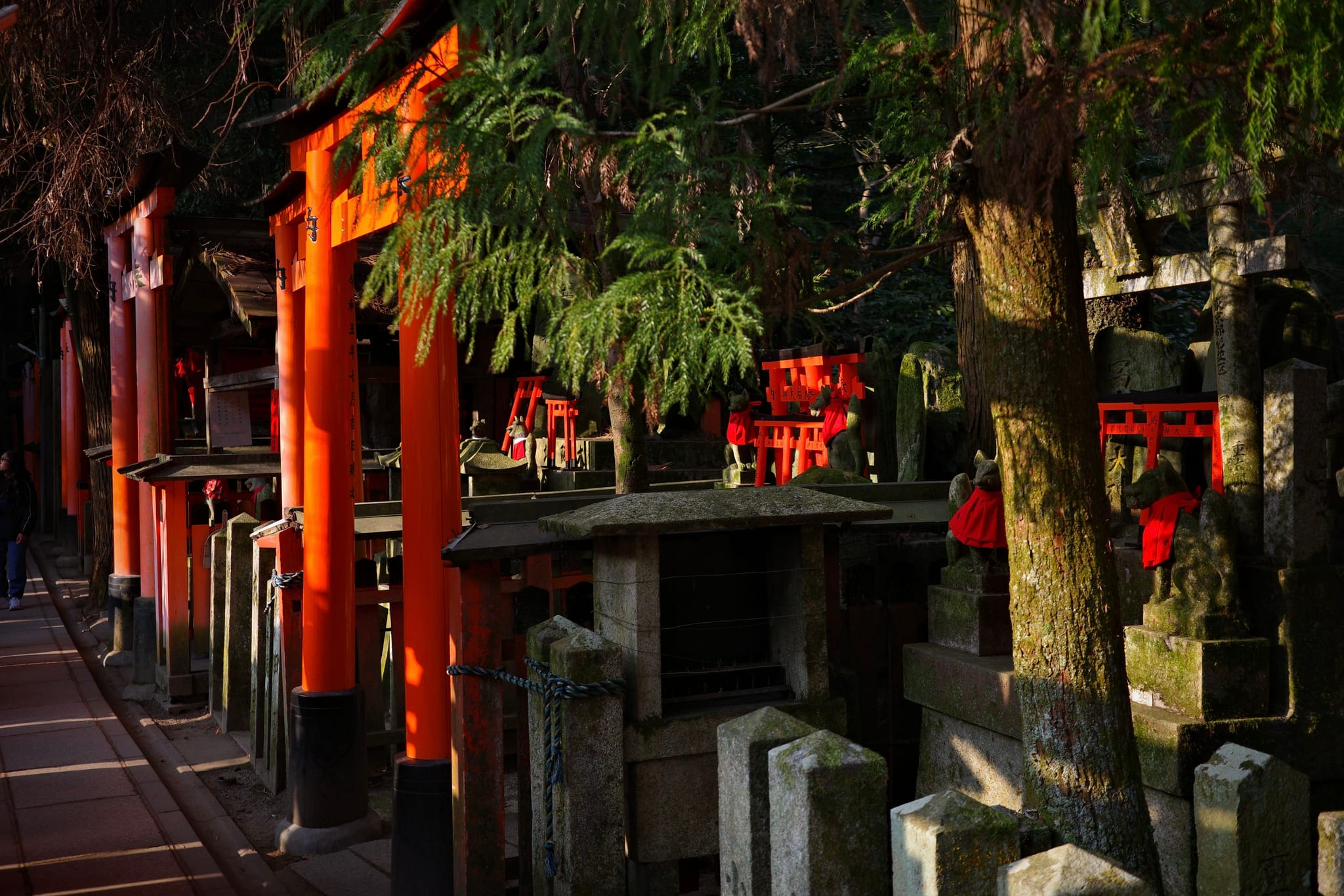 A pathway lined with vibrant red torii gates and stone lanterns, surrounded by trees and dappled sunlight